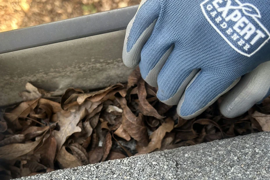 Gutter Cleaning Neptune Beach FL