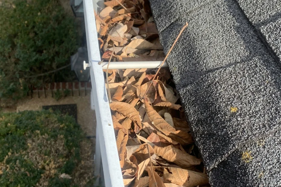 Gutter Cleaning Neptune Beach FL