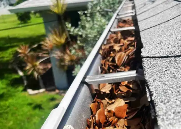 Gutter Cleaning Neptune Beach FL home page